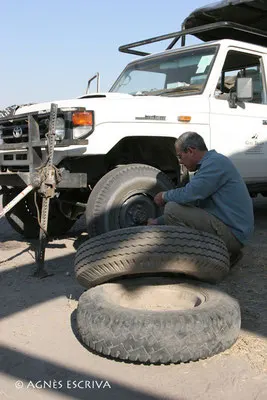 Crevaison, Botswana 2007