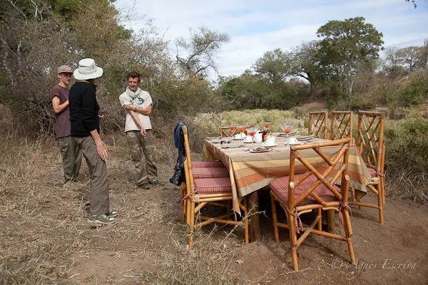 Timbavati - Afrique du Sud, juillet 2015
