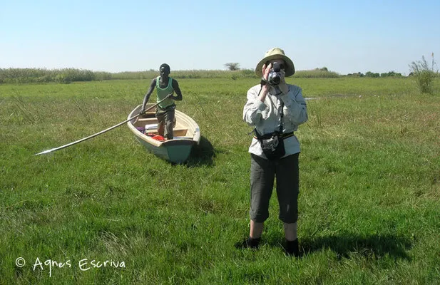 Marais de Bangweulu - Zambie mai 2006