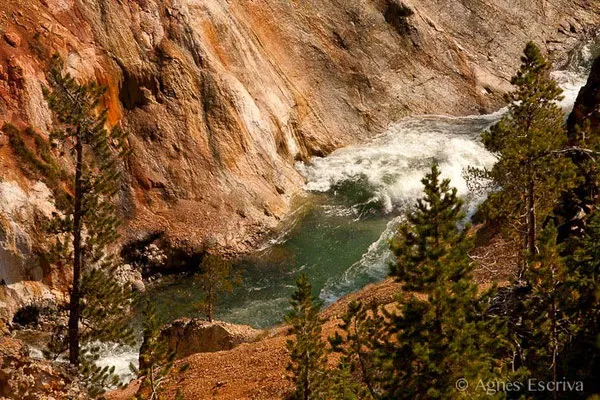 Grand canyon of the Yellowstone