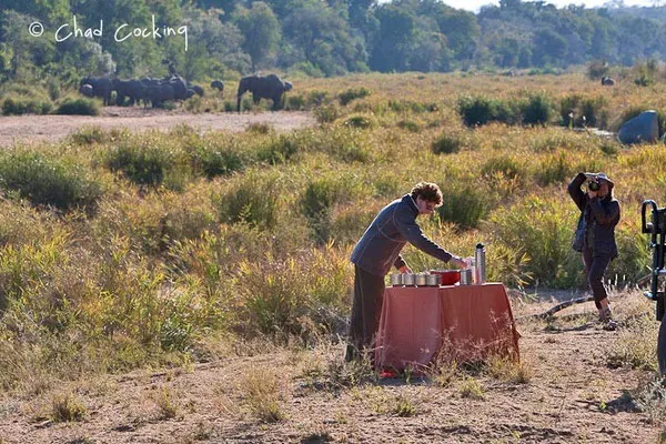 Coffee-breack ! Timbavati  - Afrique du Sud, juin 2011