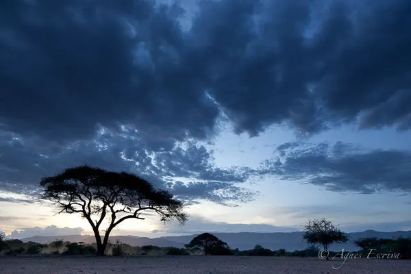 Kenya - décembre 2014