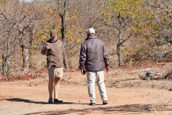 Timbavati - Afrique du Sud, juillet 2015
