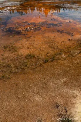 Upper Geyser Basin, Parc du Yellowstone