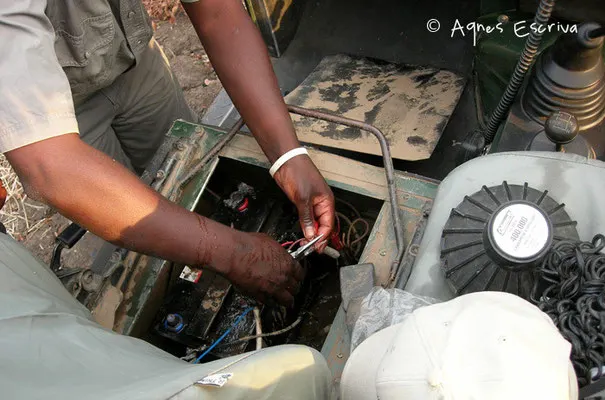 Problème de batterie à 50 mètres d'un troupeau d'éléphants... South Luangwa - Zambie nov 2005