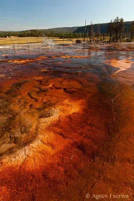 Biscuit Basin, Parc du Yellowstone