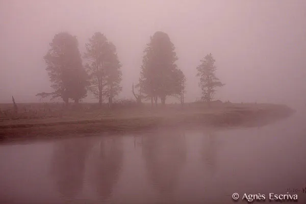 Lamar river, Parc du Yellowstone