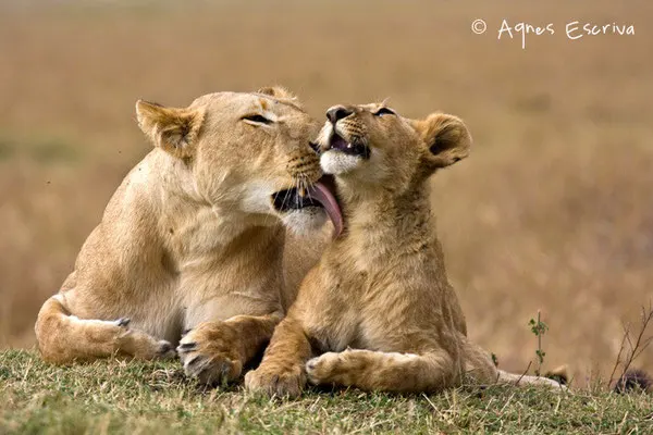 Joy et un de ses fils