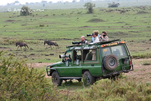 Masaï Mara, Kenya, août 2011