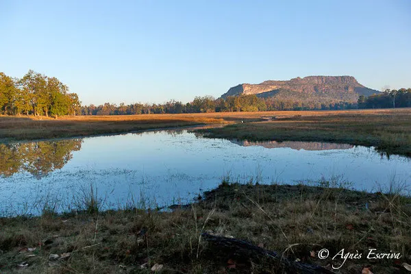 Le fort de Bandhavgarh