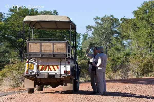 4x4 à South Luangwa - Zambie mai 2009