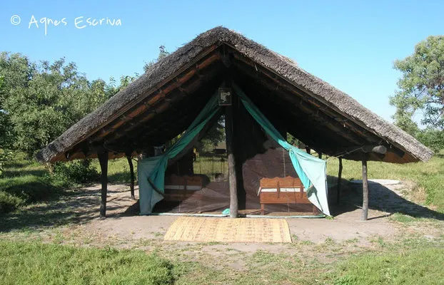 Shoebill camp - Zambie mai 2006