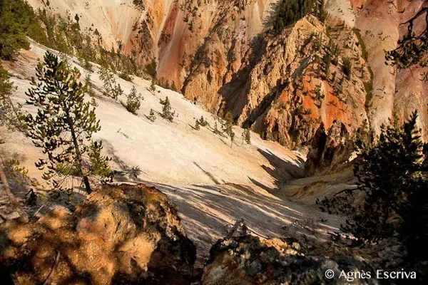Grand canyon of the Yellowstone