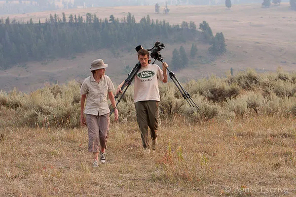 Yellowstone, Etats-Unis, Août 2013