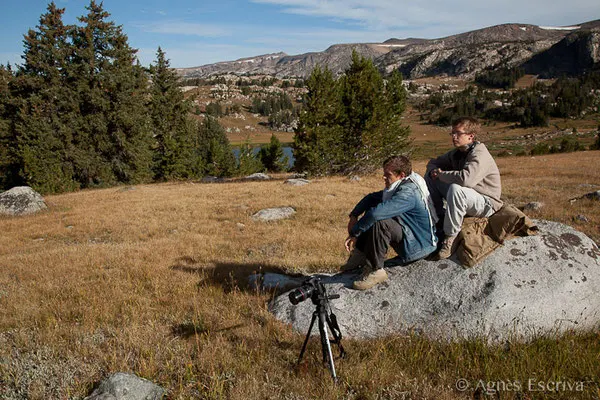 Parc de Yellowstone, Etats-Unis, Août 2013