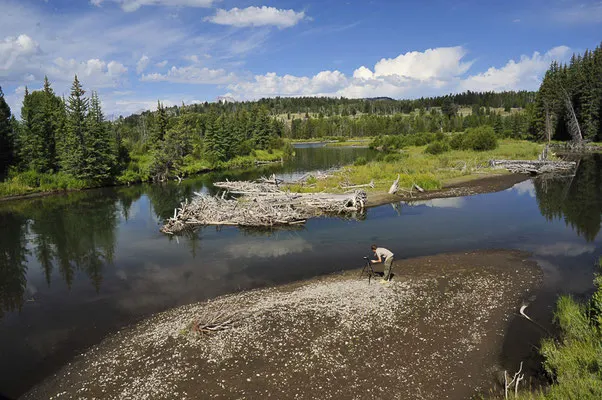 Parc de Grand Teton, Etats-Unis, Août 2013