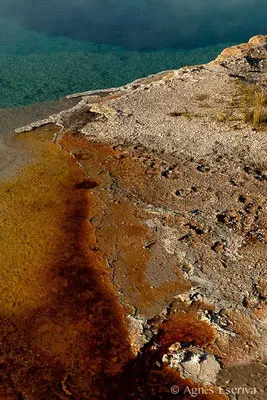 Biscuit Basin, Parc du Yellowstone