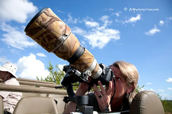 Timbavati, Afrique du Sud, février 2012