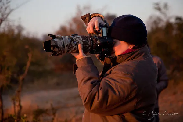 Timbavati avec Chad - Afrique du Sud, juillet 2015
