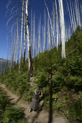 Parc National de Glacier, Etats-Unis, Août 2013