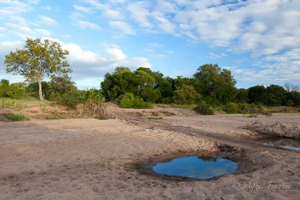 Afrique du Sud - février 2015