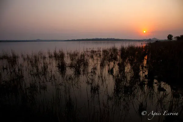 Tadoba-Andhari