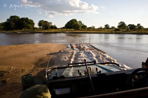 Pont de sable à South Luangwa - Zambie mai 2009