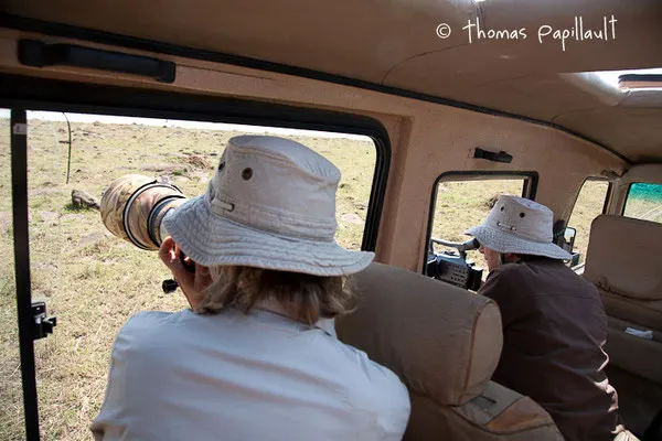 Masaï Mara, Kenya, août 2011