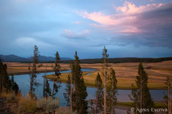 Yellowstone river dans la Hayden Valley, Parc de Yellowstone
