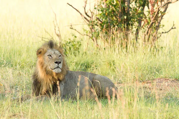 Afrique du Sud - février 2015