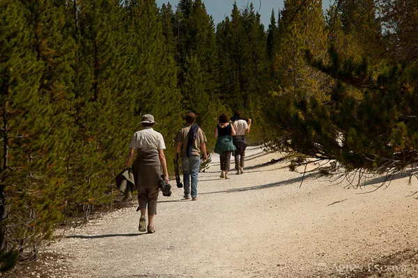 Balade à pied, Yellowstone, Etats-Unis, Août 2013