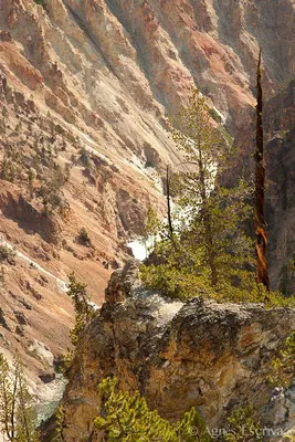 Grand canyon of the Yellowstone