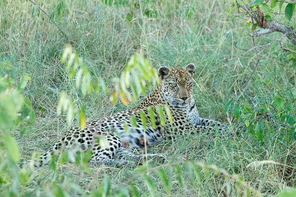 Afrique du Sud - février 2015
