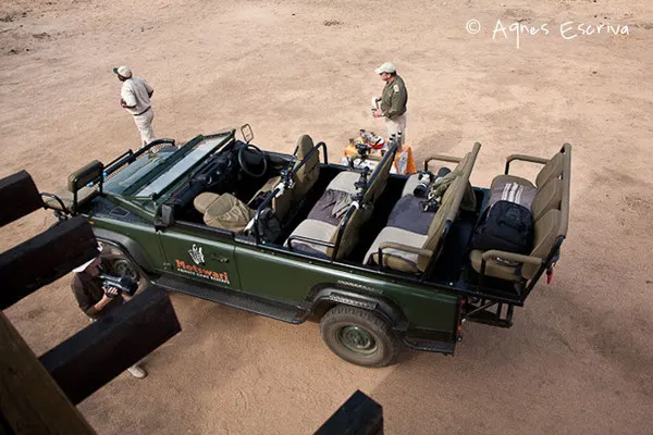 Timbavati  - Afrique du Sud, octobre 2010