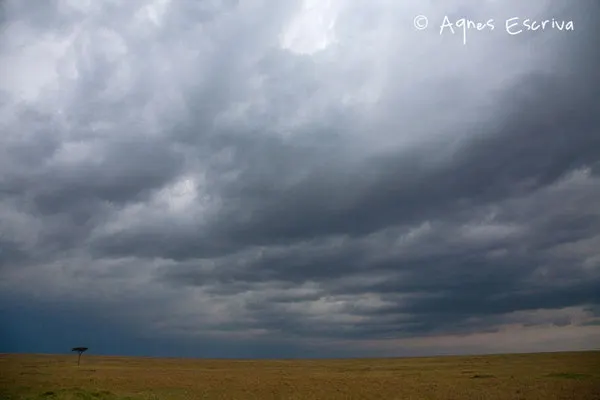 Kenya - février 2011