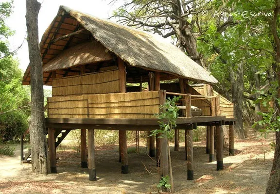 Camp de Chamilandu - South Luangwa - Zambie nov 2005