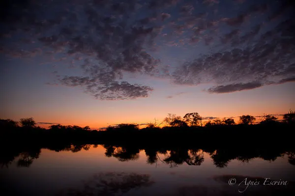 Afrique du Sud été 2015