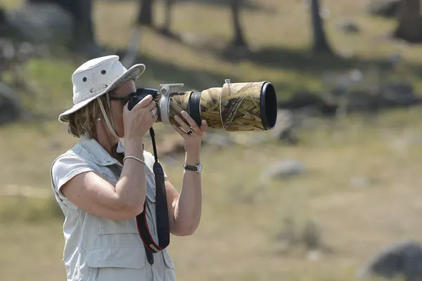 Parc de Yellowstone, Etats-Unis, Août 2013