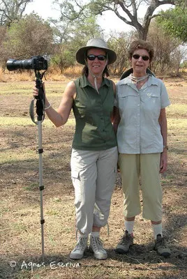 Safari à pied - South Luangwa - Zambie nov 2005