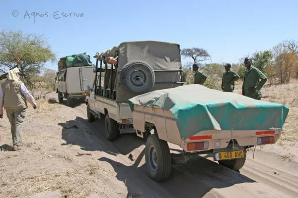 Ensablement - Botswana août 2007