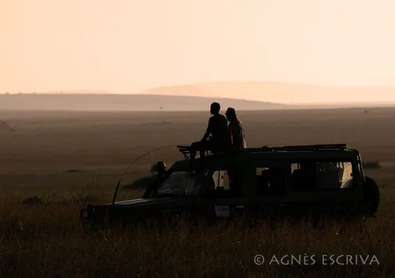 Au coucher du soleil - Masaï Mara, février 2007