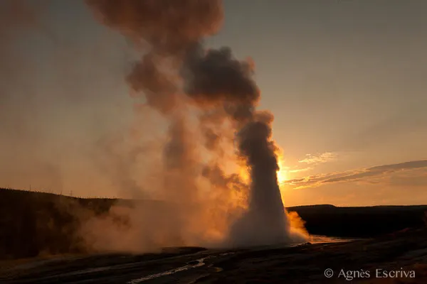 Old Faithful Geyser, Parc du Yellowstone