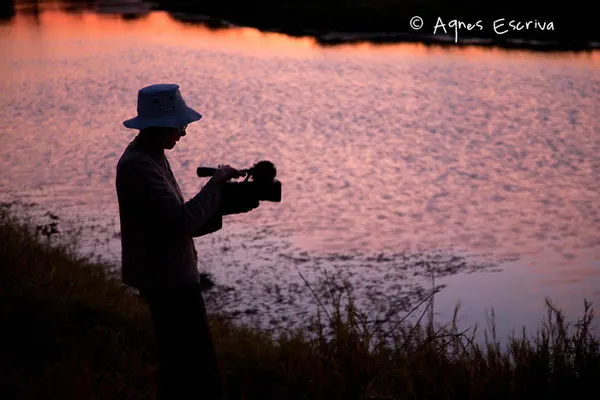Mother au crépuscule -Timbavati  - Afrique du Sud, juin 2011