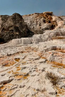 Mammoth hot springs, Parc du Yellowstone