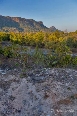 Paysage de Bandhavgarh