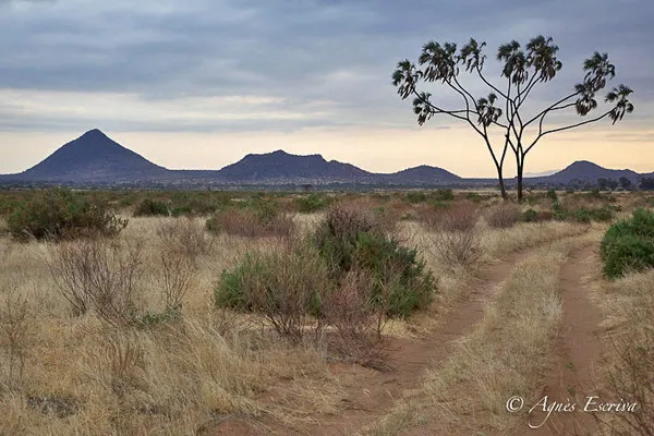 Samburu juillet 2012