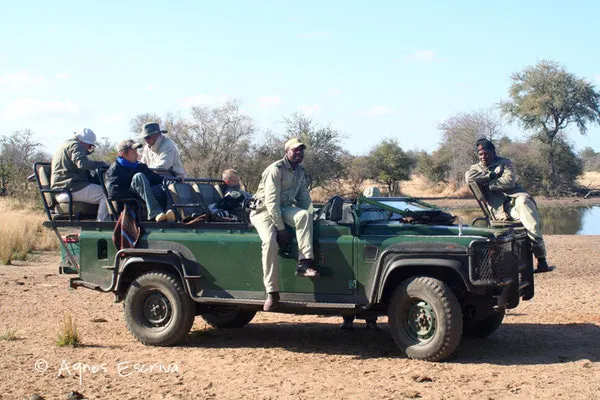 Timbavati - Afrique du Sud août 2006