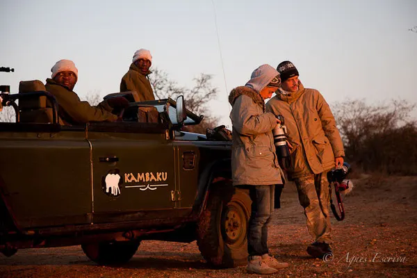 Timbavati - Afrique du Sud, juillet 2015
