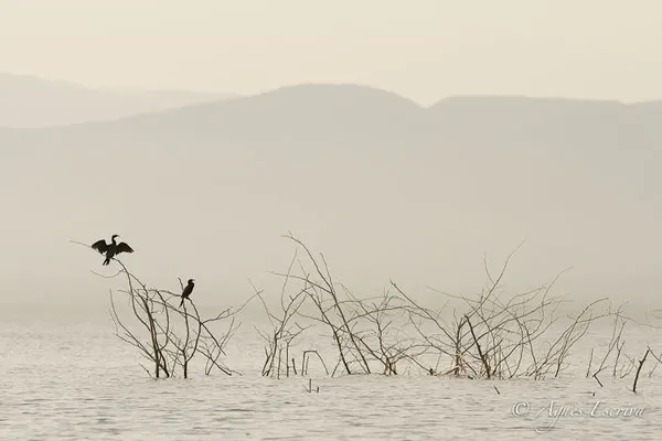 Baringo - Kenya été 2016