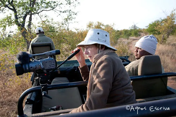 Timbavati  - Afrique du Sud, mai 2010